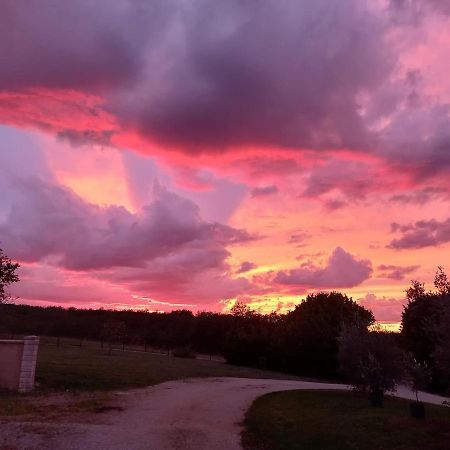 Gite Le Domaine De Camberoux Saint-Marcel-du-Périgord Dış mekan fotoğraf